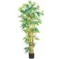 5' Multi Bambusa Bamboo Silk Tree