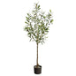 5'Olive Artificial Tree