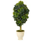 5' Schefflera Artificial Tree in Decorative Urn (Real Touch)