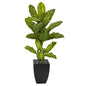 50" Dieffenbachia Artificial Plant in Black Planter (Real Touch)