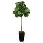 50" Fiddle Leaf Artificial Tree in Black Metal Planter