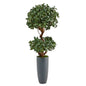 51" Sweet Bay Double Ball Topiary Artificial Tree in Gray Planter