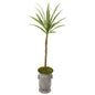 51" Yucca Artificial Plant in Vintage Metal Planter