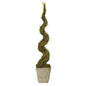 53" Mohlenbechia Spiral Artificial Tree in Country White Planter
