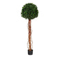 5.5'English Ivy Single Ball Artificial Topiary Tree with Natural Trunk UV Resistant (Indoor/Outdoor)