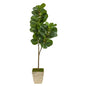 5.5'Fiddle leaf Fig Artificial Tree in Country White Planter