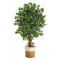 5.5'Palace Ficus Artificial Tree with in Handmade Natural Jute and Cotton Planter