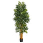 5.5'Phoenix Artificial Palm tree with Natural Trunk