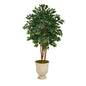 55" Sakaki Artificial Tree in Decorative Urn