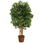 5.5'Super Deluxe Ficus Artificial Tree in Wicker Planter