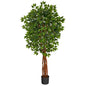 5.5'Super DeluxeNatural Trunk Ficus Artificial Tree with