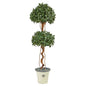 5.5'Sweet Bay Double Ball Topiary Artificial Tree in Decorative Planter