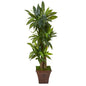 57" Corn Stalk Dracaena Artificial Plant in Brown Planter (Real Touch)