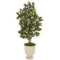 58" Ficus Artificial Tree in Decorative Urn