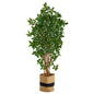 6'Black Olive Artificial Tree in Handmade Natural Cotton Planter