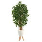 6'Black Olive Artificial Tree in White Planter with Stand