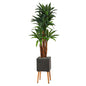 6'Dracaena Artificial Tree in Black Planter with Stand