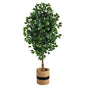 6'Ficus Artificial Tree with Natural Trunk in Handmade Natural Cotton Planter