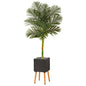 6'Golden Cane Artificial Palm Tree in Black Planter with Stand