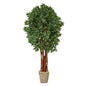 6'Lychee Artificial Tree in Country White Planter