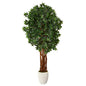 6'Lychee Artificial Tree in White Planter