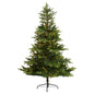6'North Carolina Spruce Artificial Christmas Tree with 350 Clear Lights and 631 Bendable Branches