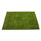 6'x 8'Artificial Professional Grass Turf Carpet UV Resistant (Indoor/Outdoor)