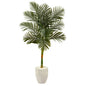 63" Golden Cane Artificial Palm Tree in White Planter