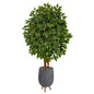 63" Super Deluxe Artificial Ficus Tree in Gray Planter with Stand