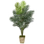 64" Paradise Palm Artificial Plant in Country White Planter