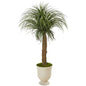 64" Pony Tail Palm Artificial Plant in Decorative Urn