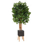 6.5'Super Deluxe Ficus Artificial Tree in Black Planter with Stand