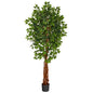 6.5'Super Deluxe Ficus Artificial Tree with Natural Trunk