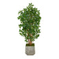 67" Black Olive Artificial Tree with 1365 Bendable Leaves in White Planter