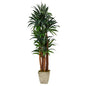 69" Dracaena Artificial Tree in Country White Planter
