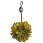 7" & 5" Mixed Succulent Spheres (Set of 2)
