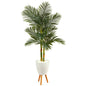 70" Golden Cane Artificial Palm Tree in White Planter with Stand