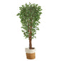 70" Variegated Ficus Artificial Tree in Handmade Natural Jute and Cotton Planter UV Resistant (Indoor/Outdoor)