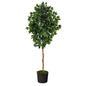 74" Ficus Artificial tree in Black Tin Planter