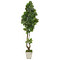 82" Rubber Leaf Artificial Tree in Country White Planter (Real Touch)