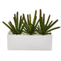 9" Cactus Succulent Artificial Plant in White Planter