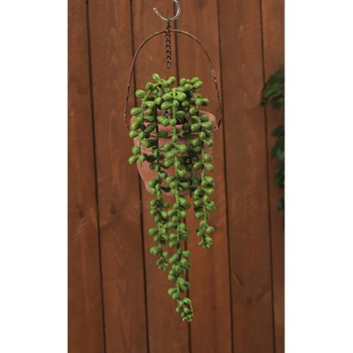 Succulent Strand 13.75" L (Pack of 4)