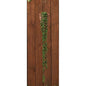 Succulent Strand 28" L (Pack of 4)