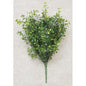 Baby's Grass Spray Med. Green 14" (Pack of 2)