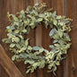 Mixed Lamb's Ear Wreath 20"