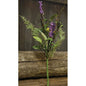 Wild Lavender Pick (Pack of 4)
