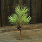 Tahoe Needle Pine Pick  (Pack of 4)