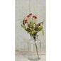 Bird's Eye Daisy Bush Burgundy 18" (Pack of 4)