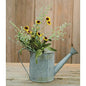 Bird's Eye Daisy Bush Yellow 18"  (Pack of 4)