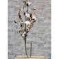 Cotton Branch w/Shells 30"  (Pack of 4)